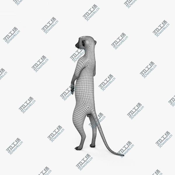 images/goods_img/2021040162/3D model Meerkat HD/3.jpg
